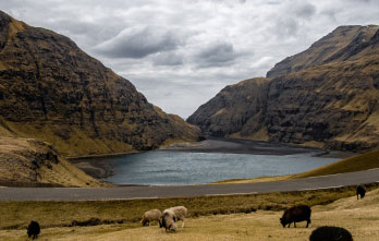 Faroe Islands Logo